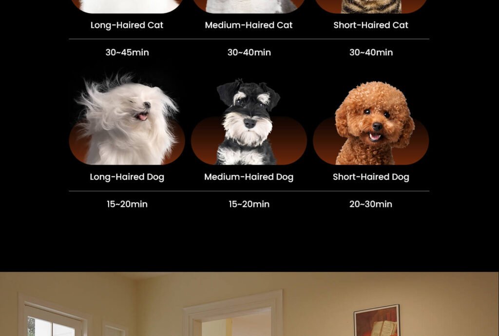 cabaña secadora de pelo para mascotas f1